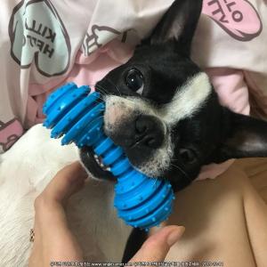 책임분양합니다