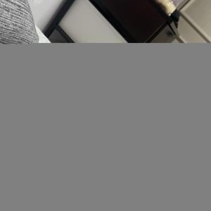 저희 강아지 좀 제발 찾아주세요..