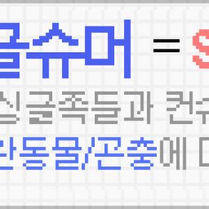 싱글슈머의 어원과 뜻 풀이