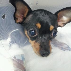 미나를찾습니다