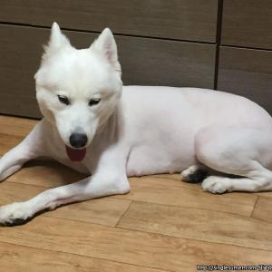 찾으시면 꼭연락주세요ㅜㅠ