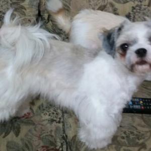 은이찾고싶어요