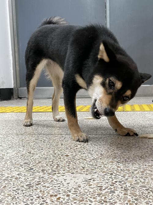 주인분 찾았어요22-08-21