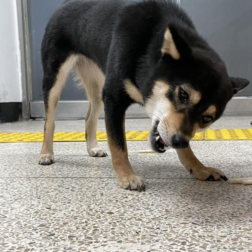 주인분 찾았어요22-08-21