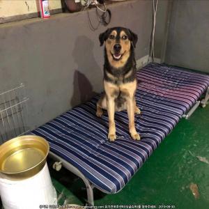 경남 김해 활천고개부근에서 분실하였습니다. ㅠㅠ