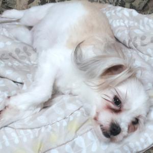 사랑이찾고싶어요ㅠ