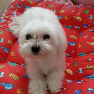 제발부탁드립니다. 제발