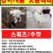경기도 화성 스피츠 찾습니다
