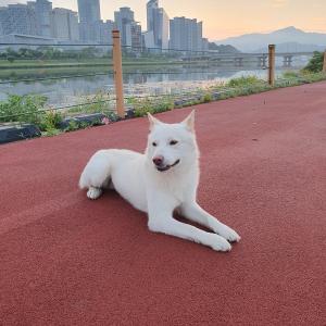 잃어버리신분 찾아가세요