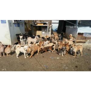 꽁꽁이네입니다. 많은 관심이 필요해요