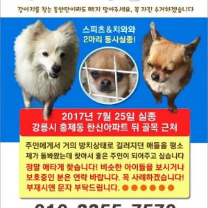 두아이를 찾아요