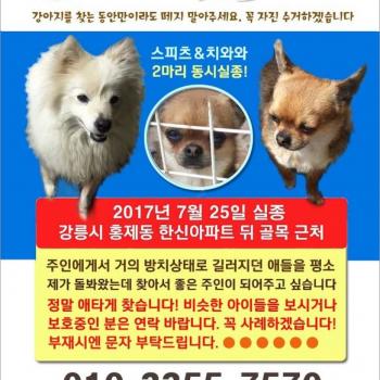두아이를 찾아요