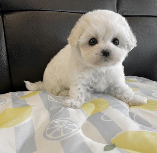 신중히 생각후 연락 주세요 ㅠㅠ