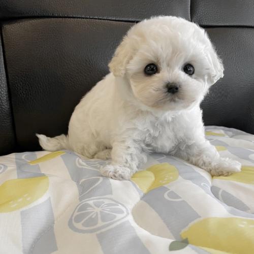 신중히 생각후 연락 주세요 ㅠㅠ