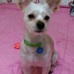 가족을 찾습니다