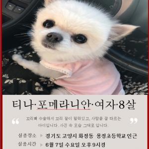티나를찾습니다.