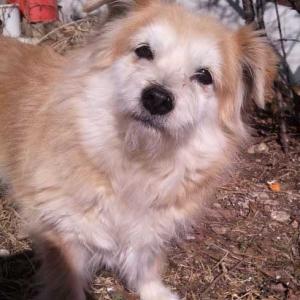 강북구 우이동(쌍문동) 삼산교회 근처