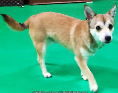 영등포구 영등포구청