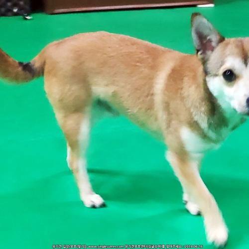 영등포구 영등포구청