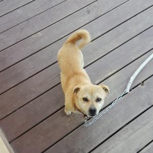 경기도 광주시 곤지암 - 태화산 부근에서 실종