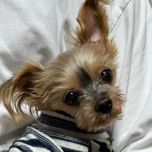 우리 아이를 찾습니다