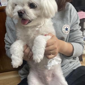 충남 공주시 사장골 도로 주변