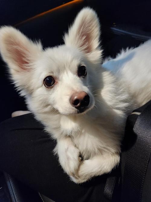 보호자님 찾아요