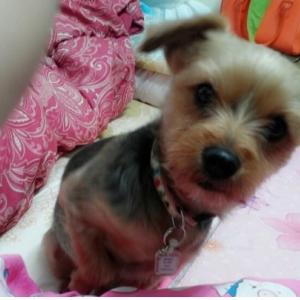 난곡 난우중학교앞에서 짱구를 찾습니다.