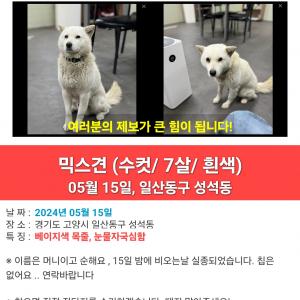 일산동구 성석동 잃어버린 머니를 찾습니다