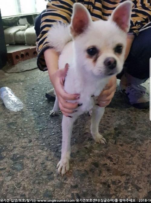 부산사상터미널포메임보중