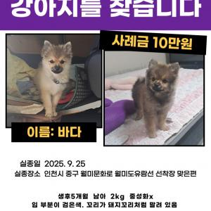 제발 보시면 연락 부탁드립니다