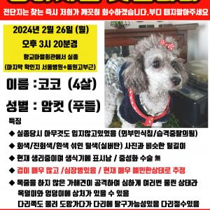 경상남보 통영시 죽림 코아루 코코찾습니다