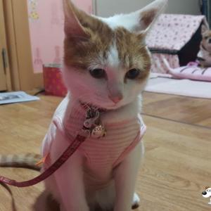 동구효목동13번도로