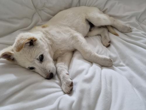 설이 평생가족 구합니다