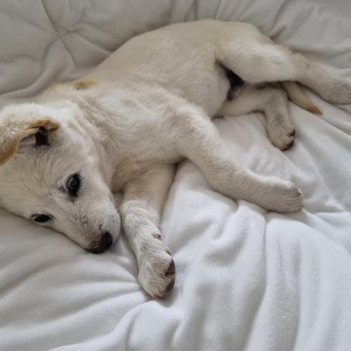 설이 평생가족 구합니다