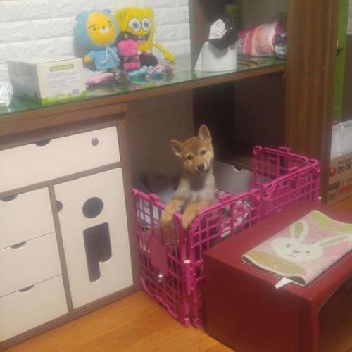 사정이 생겨서 보냅니다.