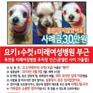 죽전동미래여성병원/요키/남아