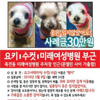 죽전동미래여성병원/요키/남아