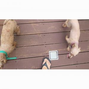 아이들을찾아요