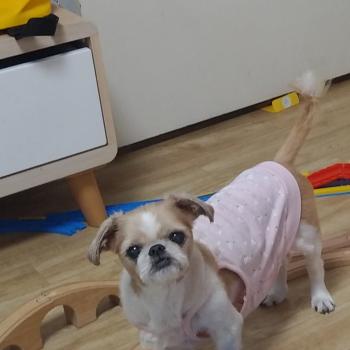 찾았어요