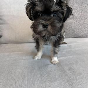 파양당한 아이 행복하게 해주세요