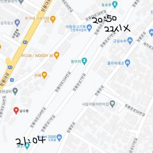 [수원 창룡문] 말티즈 남아 '인성이'를 찾습니다