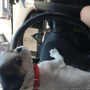 평택시 ak백화점 서부역뒤편  주택가에서..