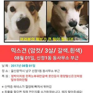 울산신정1동사무소부근