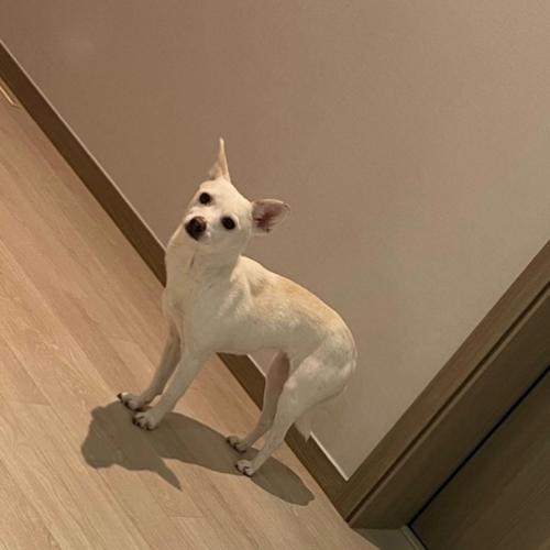 예쁜 두부 가족 찾아요~