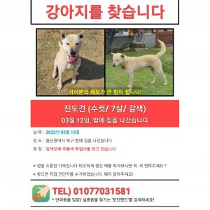 가족을 찾습니다