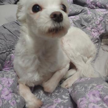 영도구에서 잃어버렸습니다
