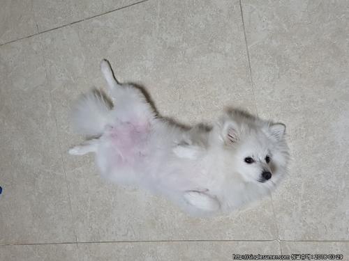 힘든 결정 내렸습니다ㅠ