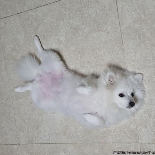 힘든 결정 내렸습니다ㅠ