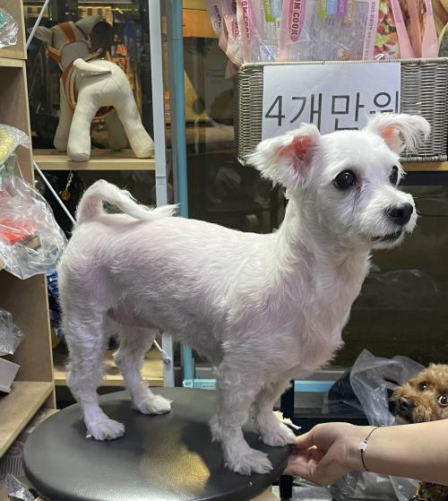 중랑구 중화동 중화리공원